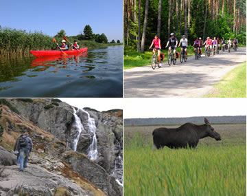 Eine Collage mit vier Bildern, die verschiedene Outdoor-Aktivitäten zeigen: Kanufahren auf einem See, eine Gruppe von Radfahrern auf einer Landstraße durch einen Wald, eine Person, die an einem Wasserfall wandert, und ein Elch auf einer grünen Wiese.