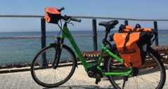 ein E-bike mit Lenkertasche und Packtasche