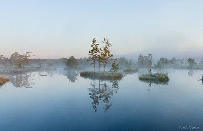 Soomaa-Nationalpark Moorlandschaft mit kleinen Inseln auf denen Bäume wachsen im Morgennebel