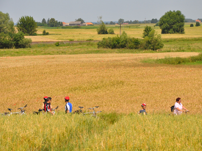 9-tägige Radtour durch die Masuren Fahrradfahrer stehen zwischen den Gräsern und schauen sich die Natur in den Masuren an