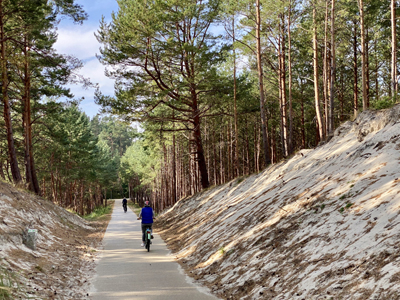 Radtour von Danzig nach Masuren Ein Mann fährt auf einem Waldweg mit dem Fahrrad