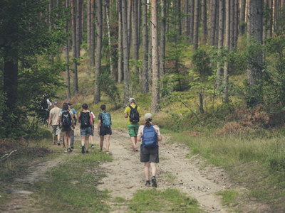 Wanderreise Masuren Ein Gruppe von Wanderern wandern durch einen Wald in den Masuren