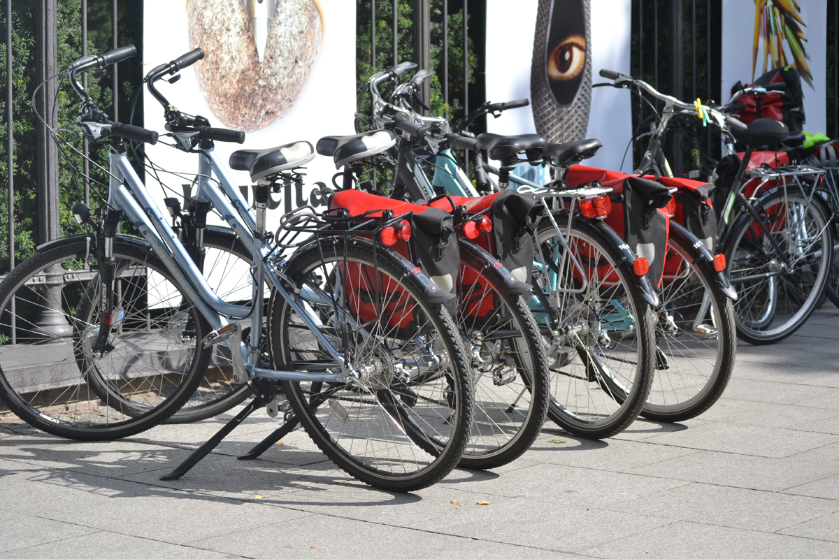 Mehrere Fahrräder stehen vor einem Zaun
