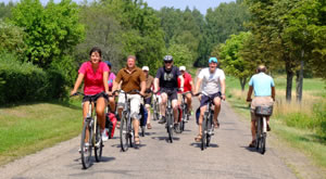 Eine Gruppe an Fahrradfahrern fahren auf einer Straße durch die Natur und freuen sich