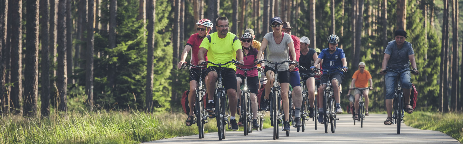 Eine Gruppe von Radfahrern fahren durch einen Wald auf einer Straße im Sommer