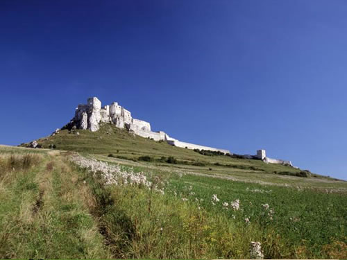 Eine Aufnahme von einem Wanderweg zwischen Grässern, Blumen und Natur der zu einer Burg führt